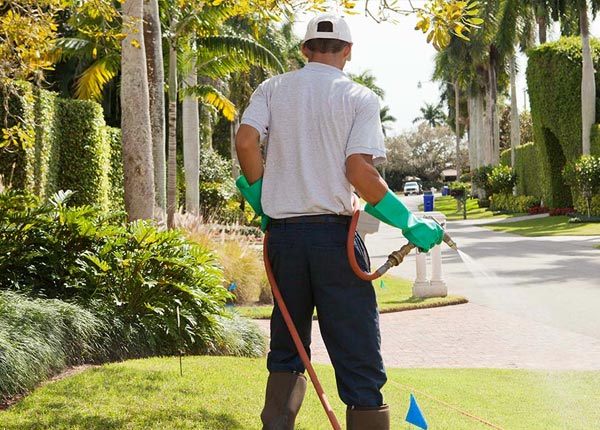 About Elon NC Pest Control Pros